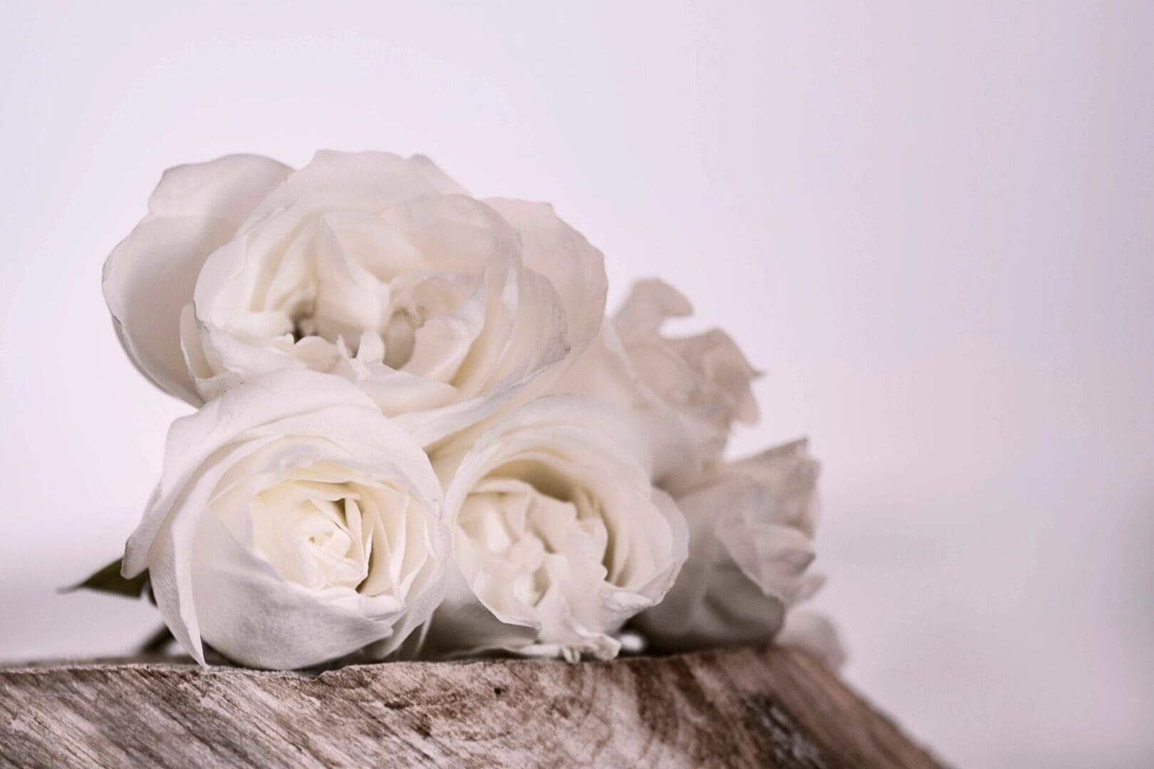 A close up of some white roses on top of a wooden table.